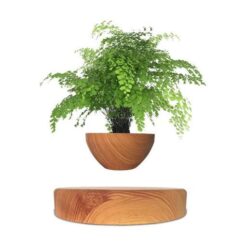 GOMINIMO Magnetic Levitating Plant Pot Oak