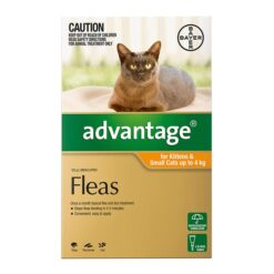 Advantage For Cats For Kittens & Small Cats Up To 4kg (Orange) 4 Doses
