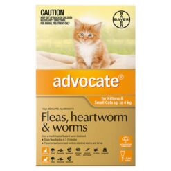 Advocate For Cats For Kittens & Small Cats Up To 4kg (Orange) 1 Dose
