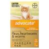Advocate For Cats For Kittens & Small Cats Up To 4kg (Orange) 6 Doses