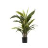 Artificial Cordyline Plant, 80cm