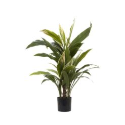 Artificial Cordyline Plant, 80cm