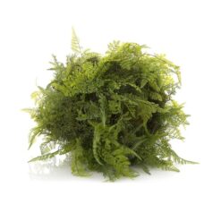 Artificial Mixed Fern, 50cm