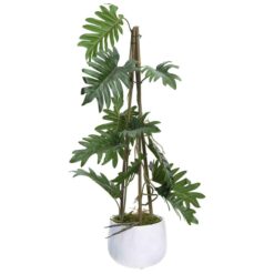 Atkins Artificial Climbing Philodendron Selloum in Pot, 62cm