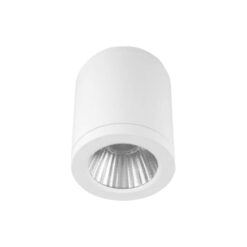 Banka IP54 Indoor / Outdoor Surface Mounted Dimmable LED Downlight, 30W, CCT, White