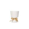 Bow Flower Pot