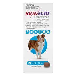 Bravecto For Large Dogs 20-40kg (Blue) 1 Chew