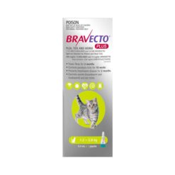 Bravecto Plus For Cats For Small Cats 1.2 - 2.8 Kg (Green) 1 Pack