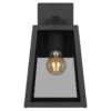 Cosca IP43 Exterior Wall Light, Large, Black / Smoke