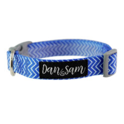 Dan & Sam Adjustable Polyester Webbing Collar For Dogs - Ziggy 1 X Medium