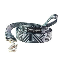 Dan & Sam Polyester Webbing Lead For Dogs - Abstract 1.5 X 150cm - Small