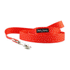 Dan & Sam Polyester Webbing Lead For Dogs - Raining Hearts 1.5 X 150cm - Small
