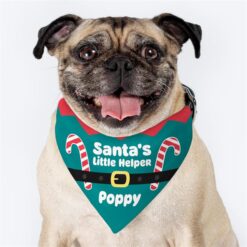 Dog Bandanas
