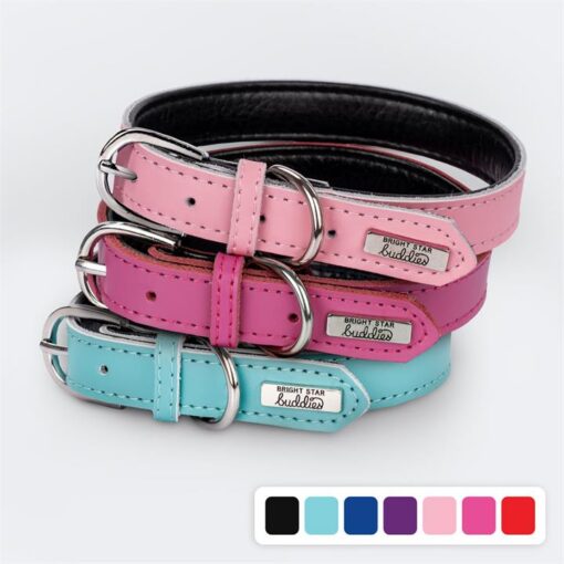 Dog Collars