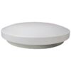 Encina IP44 Indoor / Outdoor Smart Dimmable LED Oyster Ceiling Light, 18W, CCT