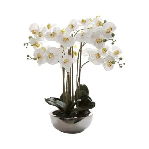 Grimes Artificial Phalaenopsis Orchid in Ceramic Pot