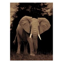 Legacy Elephant Modern Rug/Wall Art, 160x230cm