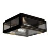 Lille Brass & Glass Ceiling / Wall Light, Antique Bronze / Clear