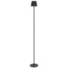 Mindy IP54 Indoor / Outdoor Rechargeable LED Touch Floor Lamp, CCT, Black