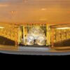Narva 12V 1.7m Amber Legion Light Bar with In-Built Alley Lights