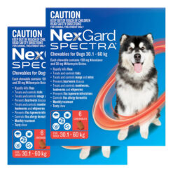 Nexgard Spectra Extra Large Dogs (30.1 - 60kg) Red 12 Pack