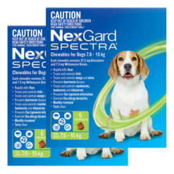 Nexgard Spectra Medium Dogs (7.6 - 15kg) Green 12 Pack