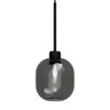 Parlour Lite Curve Glass & Aluminium Pendant Light, Smoke / Textured Black