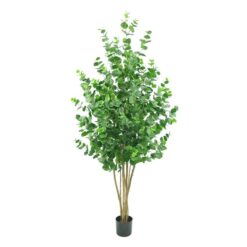 Potted Artificial Eucalyptus Polyanthemos Tree, 150cm