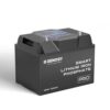 Renogy 12V 100Ah Pro Series Lithium Battery with Bluetooth & Self-heating Function