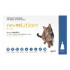 Revolution (Selamectin) - Large Cats (Blue) 3 Pack + 1 Dose Free