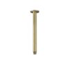 Round Brass Ceiling Shower Arm - 300mm - PVD Tiger Bronze