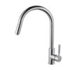 Round Pull Out Standard Kitchen Mixer Tap - Chrome