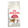 Royal Canin Fit 32 Adult Dry Cat Food 400 Gm