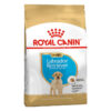 Royal Canin Labrador Retriever Puppy Junior Dry Dog Food 12 Kg Royal Canin Labrador Retriever Puppy Junior Dry Dog Food 12 Kg