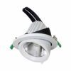 SAL Newman III Commercial Grade Gimbal LED Downlight, 15W, 6000K, White (S9525/92DL/WH)