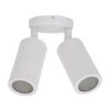 Shadow IP65 Exterior Dimmable LED Adjustable Wall Light, 2 Light, CCT, White