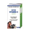 Troy Vitamin C 100 Ml