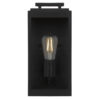 Truman IP44 Exterior Wall Light, 1 Light, Black
