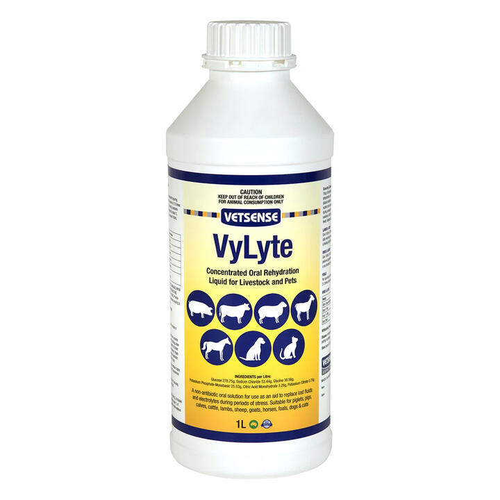 Vetsense Vylyte Concentrated Oral Rehydration Liquid For Livestock And Pets 1 Litre Vetsense Vylyte Concentrated Oral Rehydration Liquid For Livestock And Pets 1 Litre