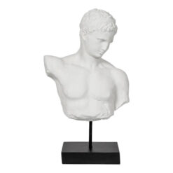 Grecian Male Bust Sculpture