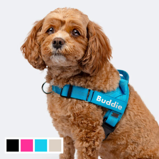 No Pull Dog Harness