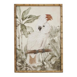 "Parrot in Jungle" Timber Framed Wall Art Print, Type C, 70cm