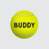 Personalised Tennis Ball