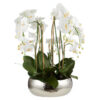 Rogue Artificial Phalaenopsis Orchid in Pali Bowl