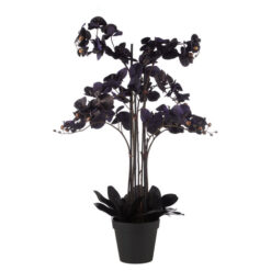 Rogue Potted Artificial Phalaenopsis Orchid, 120cm