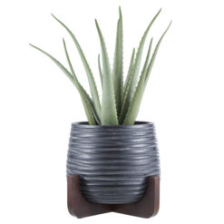 Rogue & Academy Handcrafted Artificial Aloe Plant in Keanu Planter, 51cm