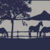 Camping Mat Warehouse 3x1.8m Ranch Recycled Mat
