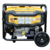 DeWalt 8.95 kVA AVR Worksite Approved Generator