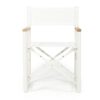 Hastings Foldable Outdoor Director Chair