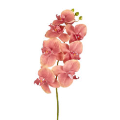 JMC Artificial Phalaenopsis Orchid Spray, 70cm, Pink Flower